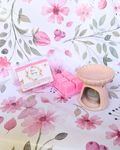 Pack 3 - Pure Spring
